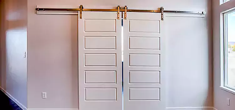 Glass Barn Door with Installation Hardware Kit St. Peters