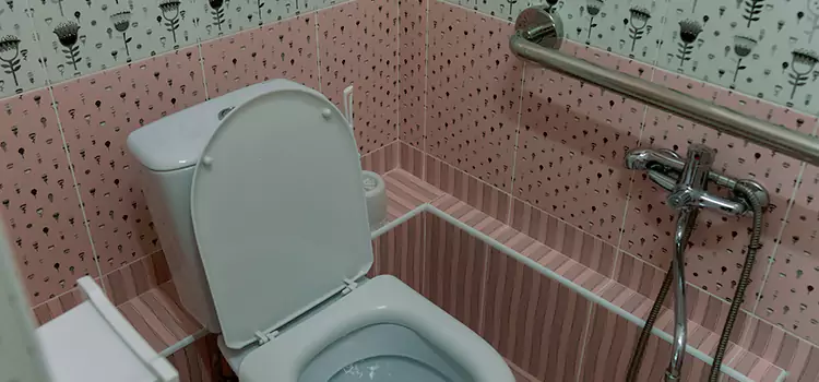 Meeting Diverse Needs With Accessible Restroom Solutions in St. Peters, MO